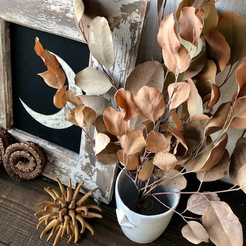 ユーカリポポラス6本セット （エイジングオレンジ)ユーカリのシンプル