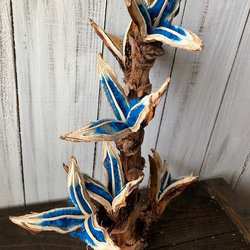 旅人の木 タビビトノキ 小サイズ ドライフラワー そのままインテリアや