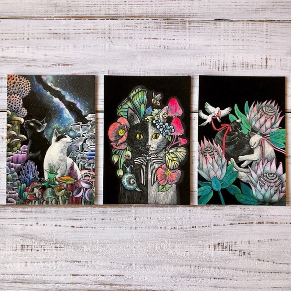 オリジナルポストカード3枚セット 「星降るキノコの森」「キメラ」「眠る子猫」 1枚目の画像