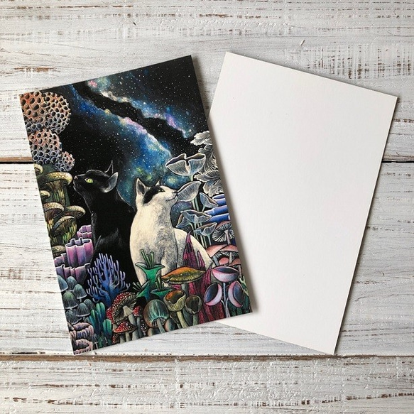 オリジナルポストカード3枚セット 「星降るキノコの森」「キメラ」「眠る子猫」 5枚目の画像