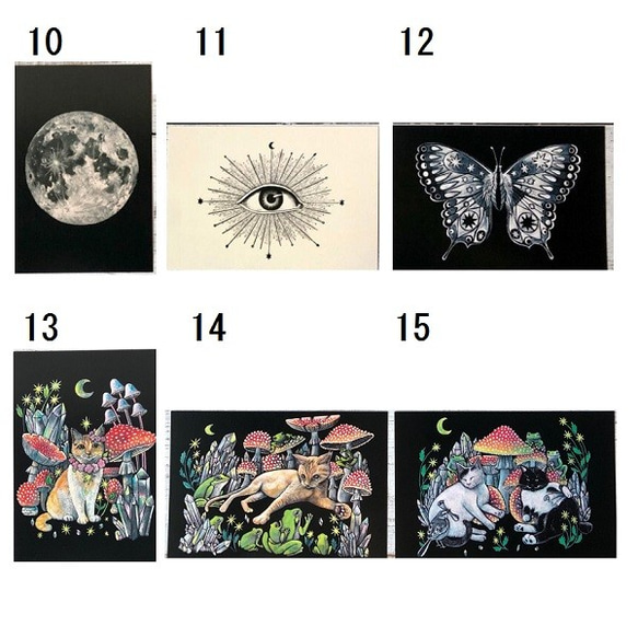 オリジナルポストカード3枚セット 「星降るキノコの森」「キメラ」「眠る子猫」 7枚目の画像
