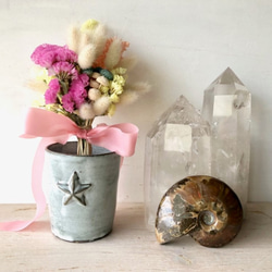 sale　星月猫★「スターチスとラグラスの小さなピンクスワッグ」ドライフラワー　花束 5枚目の画像