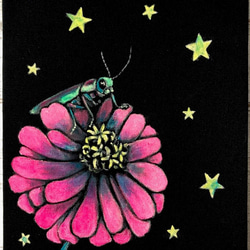 星月猫★「玉虫とジニア」アート作品　F0サイズ原画　絵画作品　アクリル画 1枚目の画像