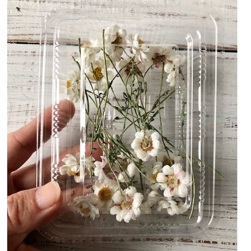 花かんざし20本セット 茎付き ドライフラワー花材 ハーバリウム リース 