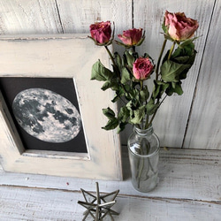 ミニ薔薇　ピンク5輪5本　ドライフラワー花材　スワッグやハーバリウム　ボタニカルキャンドルなどに　星月猫 4枚目の画像
