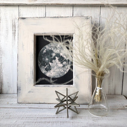 スティファ　100本セット　ナチュラルベージュ　ドライフラワー花材　ハーバリウム　スワッグにおすすめ　星月猫 4枚目の画像