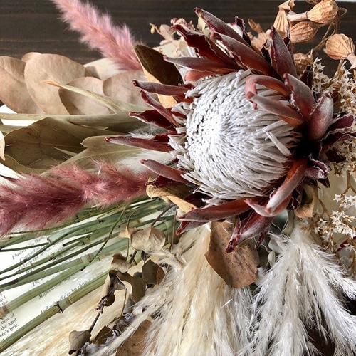 星月猫☆「プロテアマディバとパンパスグラス、グレビレアバイレヤナの