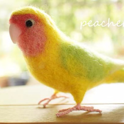 羊毛コザクラインコ　りんごちゃん 3枚目の画像