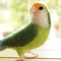 羊毛コザクラインコ　オレンジちゃん 4枚目の画像