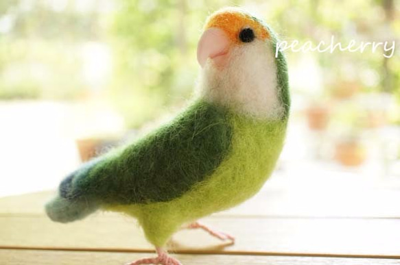 羊毛コザクラインコ　オレンジちゃん 4枚目の画像