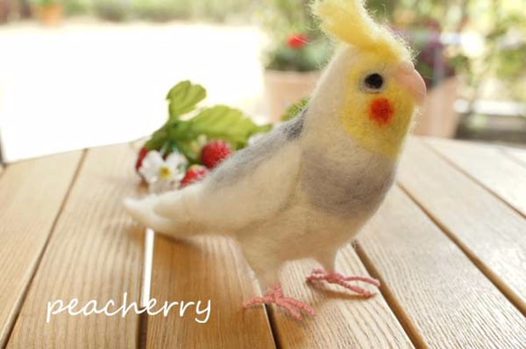 羊毛オカメインコ　ぷりんちゃん 4枚目の画像