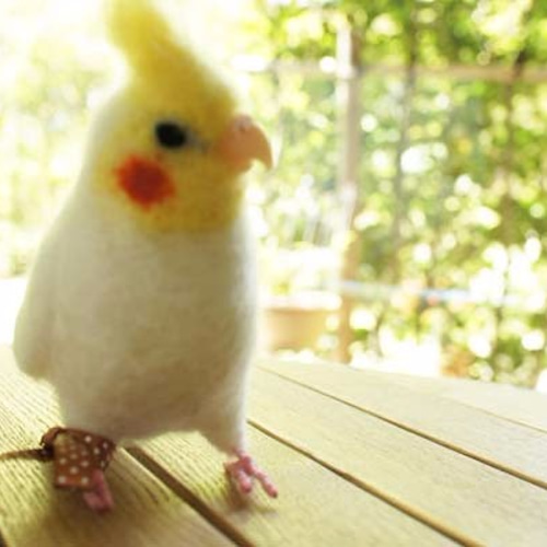 羊毛オカメインコルチノー （O様ご予約品） 羊毛フェルト ぴーちぇり