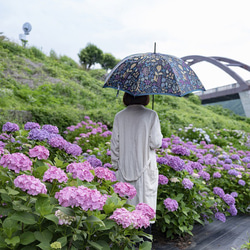 【晴雨兼用雨傘】Stig Lindberg HERBARIUM グリーン 2枚目の画像