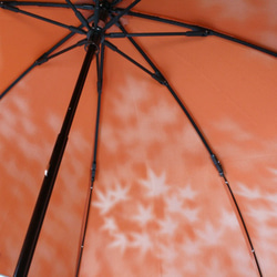 [雨傘雨傘] Komorebi楓木：橙色 第7張的照片