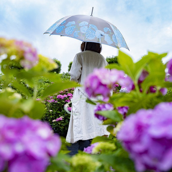 【晴雨兼用傘】絵おり 紫陽花(あじさい) ライトブルー 2枚目の画像