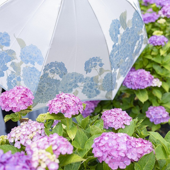 【晴雨兼用傘】絵おり 紫陽花(あじさい) ライトブルー 1枚目の画像