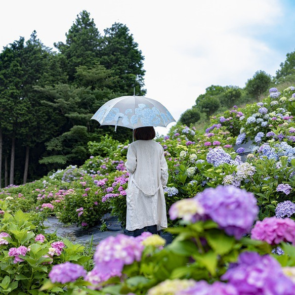 【晴雨兼用傘】絵おり 紫陽花(あじさい) ライトブルー 8枚目の画像