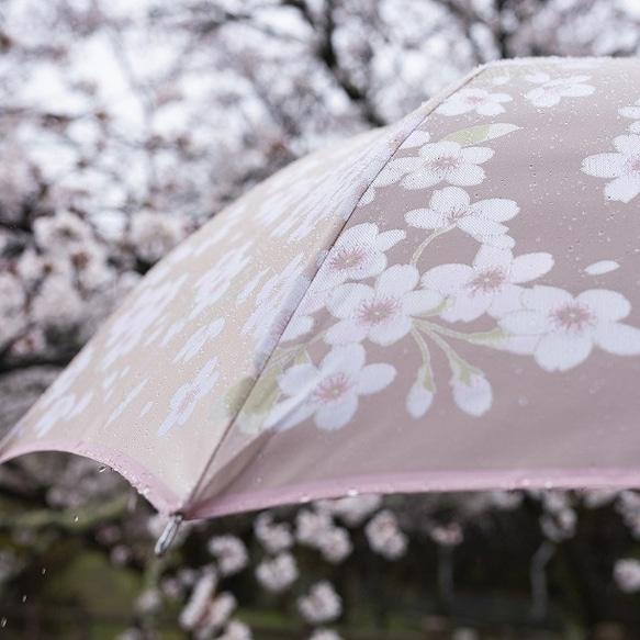 【晴雨兼用傘】絵おり 桜(さくら) ピンク 2枚目の画像