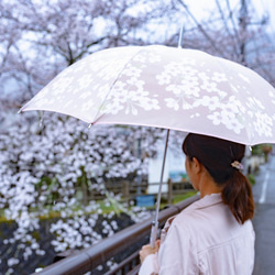 【晴雨兼用傘】絵おり 桜(さくら) ピンク 9枚目の画像