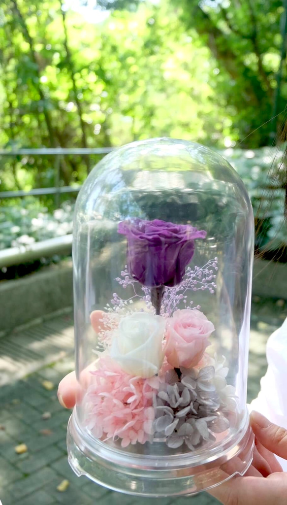 紫色保鮮花花禮 第1張的照片