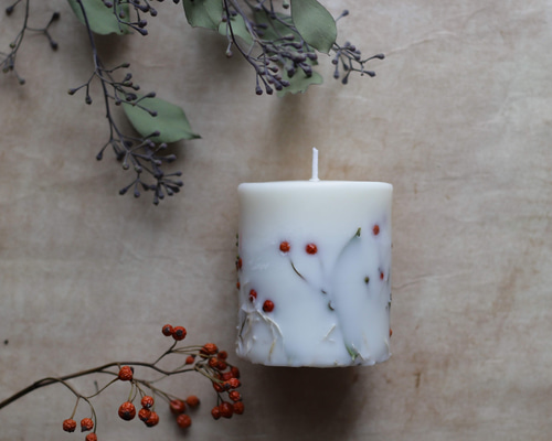 ソイ秋の実ボタニカルキャンドル キャンドル・キャンドルホルダー