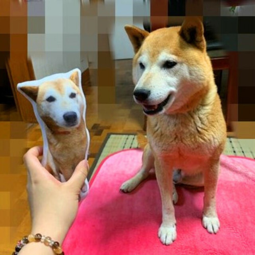 20cm 両面プリント 姿のままのクッション 愛犬・愛猫・ペット 犬