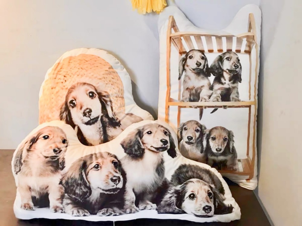 70cm両面プリントクッション　姿のまま　愛犬・愛猫・ペット　 犬　猫　うさぎ　鳥　ハムスタ-　インテリア　メモリアル