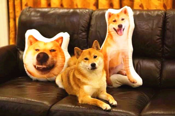 30cmクッション両面プリント 愛犬・愛猫・ペットの姿のまま 犬 猫 
