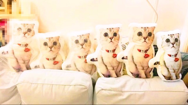 45cm 両面プリントクッション　姿のまま　愛犬・愛猫・ペット　犬　猫　鳥　ハムスタ　チンチラ　インテリア　メモリアル