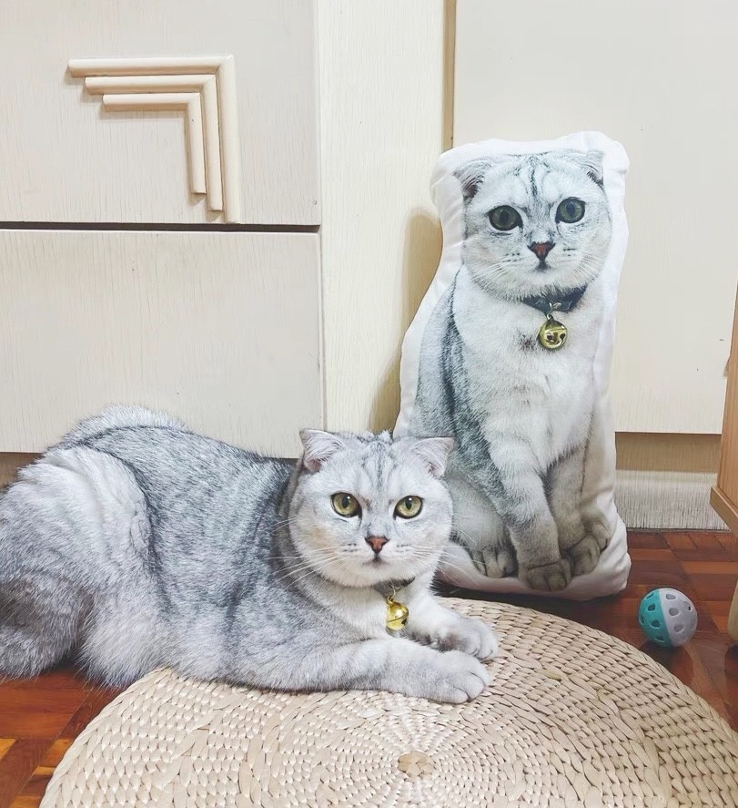 Furchin猫犬プリント両面タイトスカート グランジ Y2K猫犬プリント両面タイトスカート - メルカリ