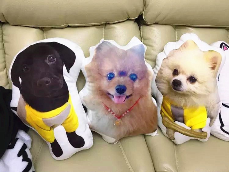 40cm名入れクッション　愛犬・愛猫・ペットの姿のまま　犬　猫　うさぎ　鳥　ハムスタ-　チンチラ　インテリア　メモリアル