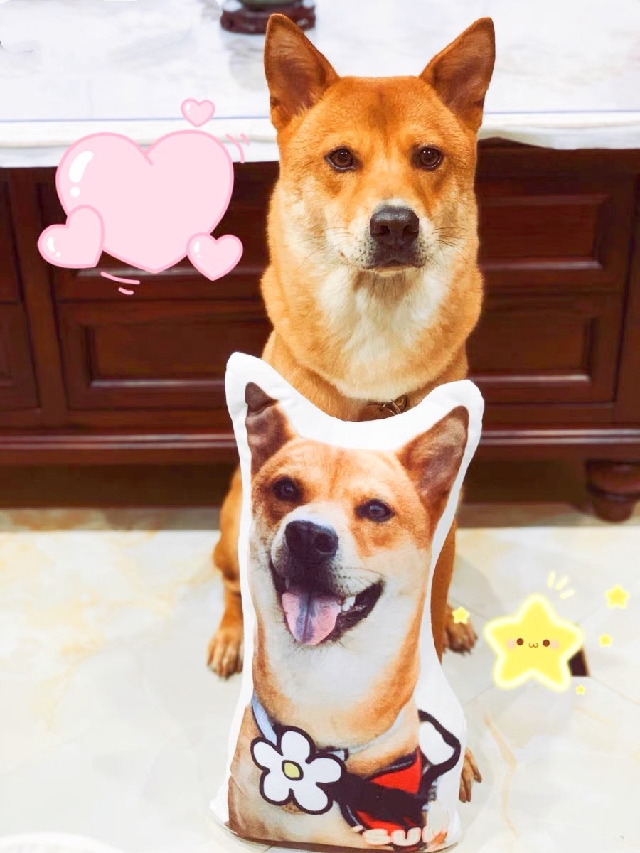 55cm名入れクッション　姿のまま　愛犬・愛猫・ペット　 犬　猫　うさぎ　鳥　ハムスタ-　ペット　インテリア　メモリアル