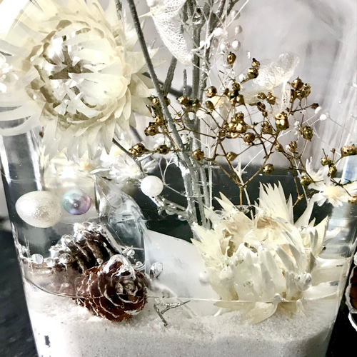 冬のスノーハーバリウム ハーバリウム・植物標本 絵灯花 通販 10631589