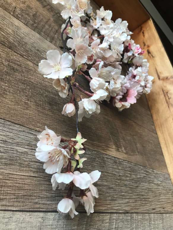 受注製作 サクラサク　春の訪れ枝垂れ桜リース 20cm 2枚目の画像