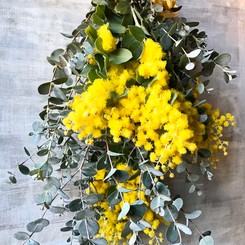 2026年！春先取り ふわふわミモザとユーカリのスワッグ スワッグ 絵