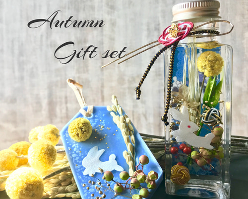 1_42446d6e8a3665deaaf580f94593