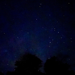 ハーバリウムボールペン 銀河（替芯１本付き） 6枚目の画像