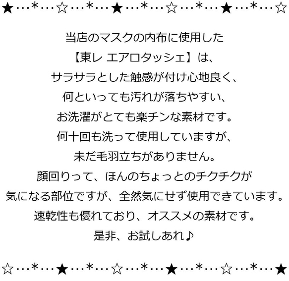 ★送料込　サラサラ触感生地使用立体マスク(小鳥ブルー小) 5枚目の画像