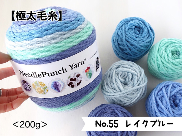 【極太毛糸】ニードルパンチ専用毛糸【No.55＊レイクブルー(5色入り)】＜200g/180m＞ 1枚目の画像