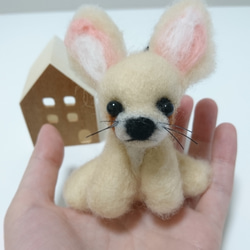 羊毛フェルトマスコット☆ショウガラゴ(猿) 羊毛フェルト Ayn.キツネ