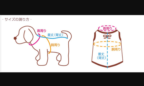 ボーダー 星柄 Tシャツタンクトップ 犬服 ドッグウェア 3S SS S 5枚目の画像