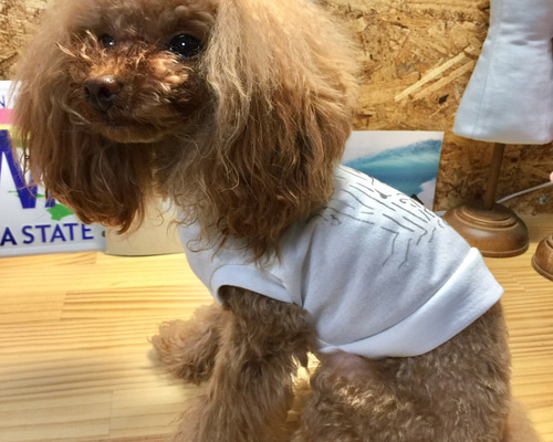 ステンシル Tシャツタンクトップ 犬服 ドッグウェア 3XS〜S