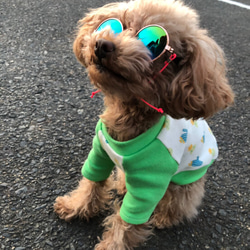 ステンシル Tシャツタンクトップ 犬服 ドッグウェア 3XS〜S