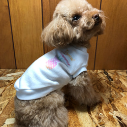 犬服 パイナップルプリント Tシャツタンク ドッグウェア  6XS〜S 2枚目の画像