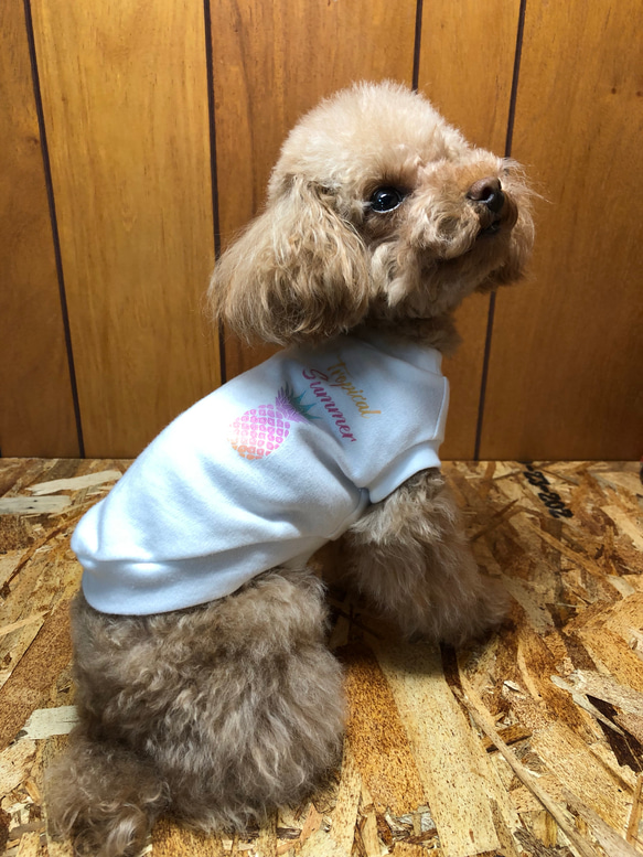 犬服 パイナップルプリント Tシャツタンク ドッグウェア  6XS〜S 2枚目の画像