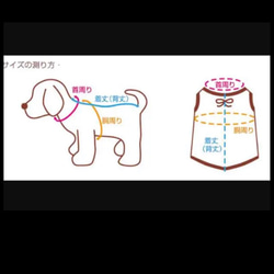 犬服 パイナップルプリント Tシャツタンク ドッグウェア  6XS〜S 3枚目の画像