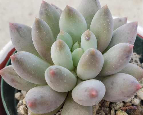 1_d1331205ba5b4800a58113b50746