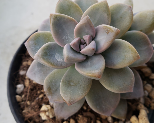 1_59745108ea728d235b4a58521670