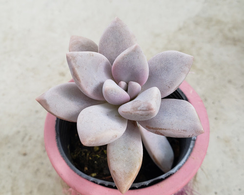 1_ac10da9b8a6337f0a891e4b96432