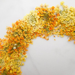 黄色系レースフラワー 押し花素材 3枚目の画像
